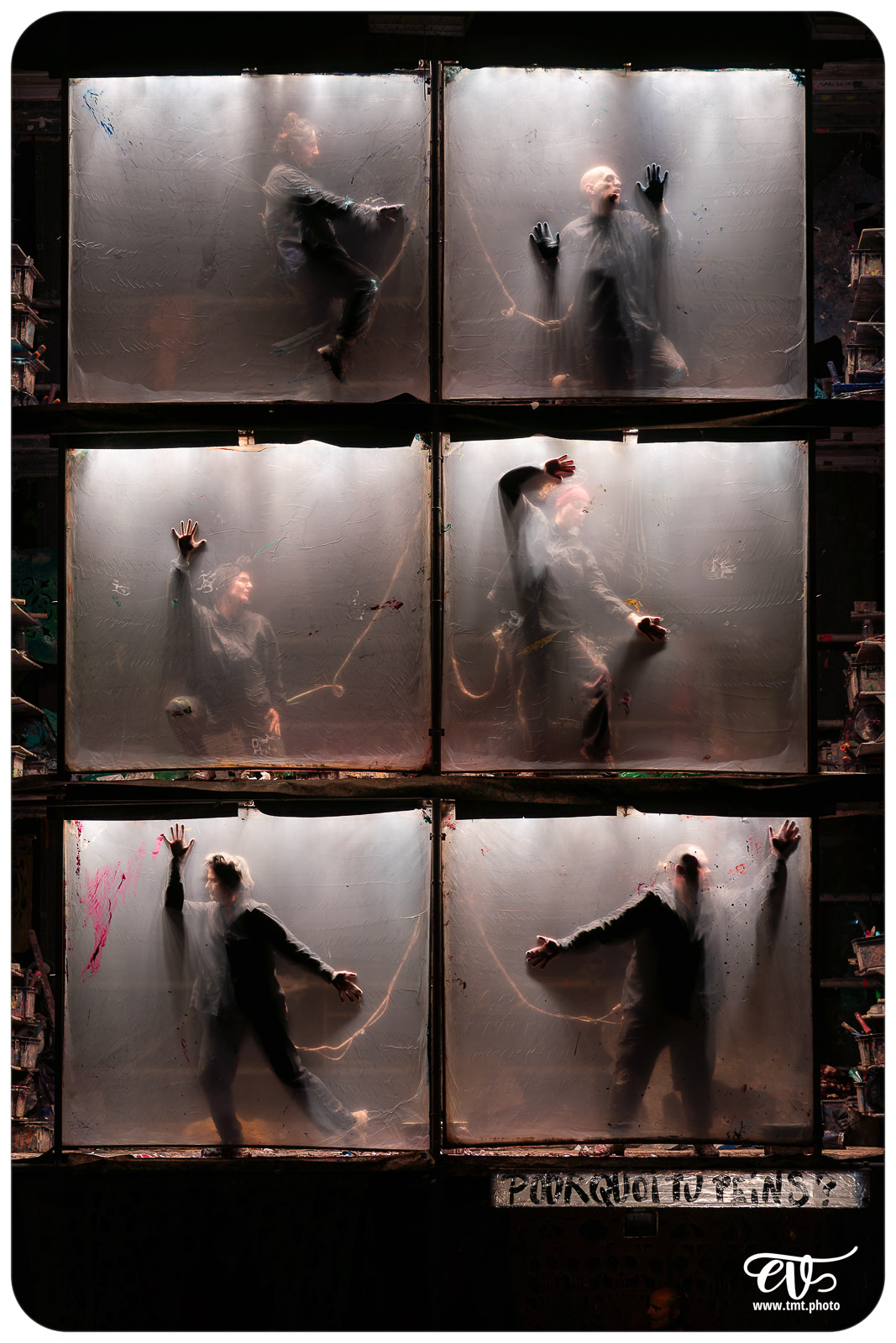 TMTPHOTO LA TORTUE DE GAUGUIN 064